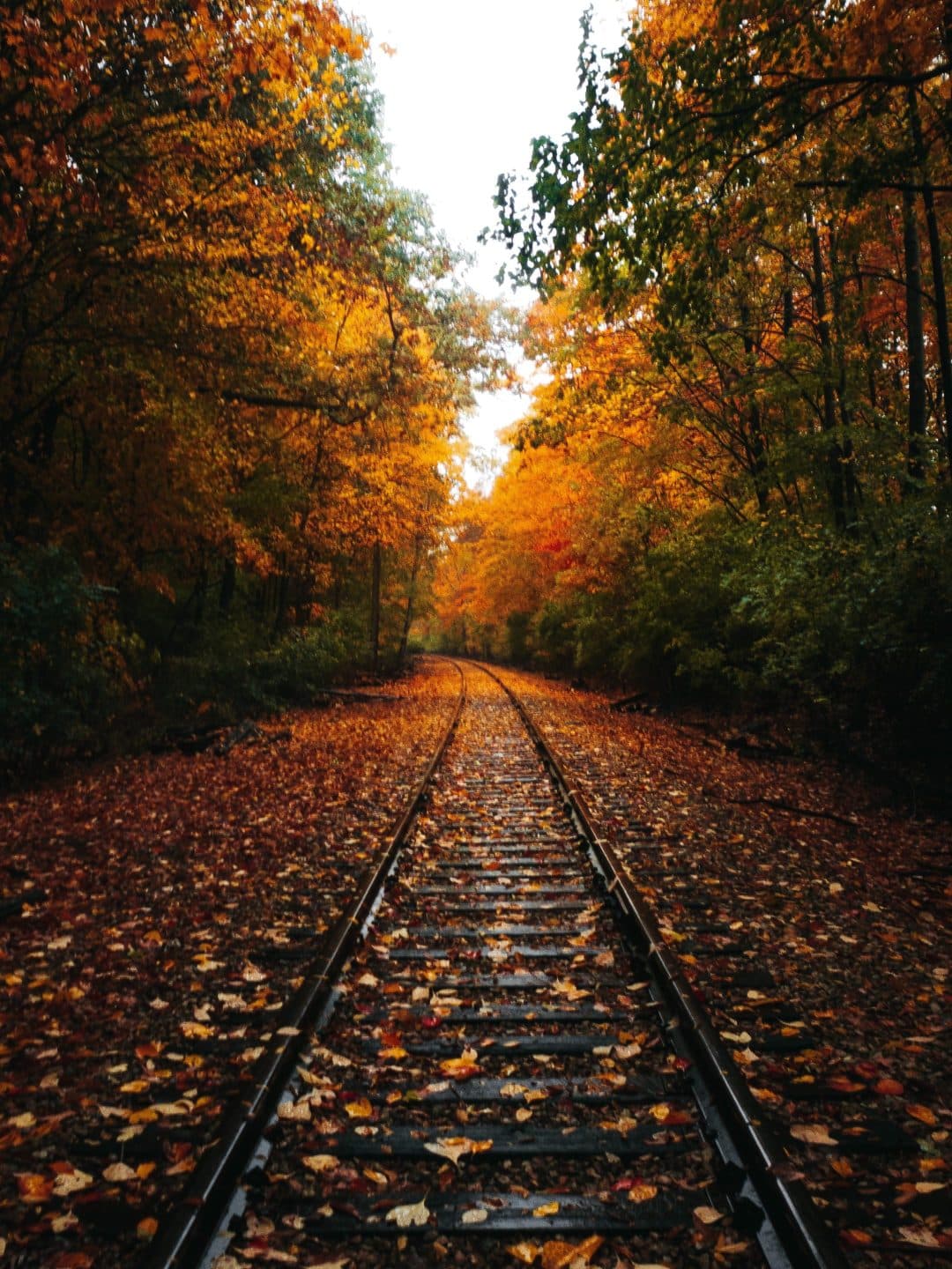 Train tracks