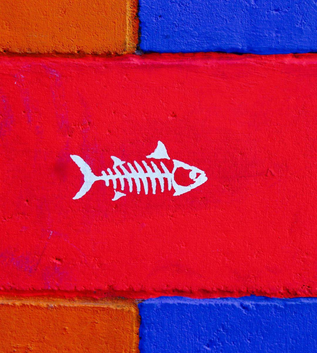 A stencil painting of a fish