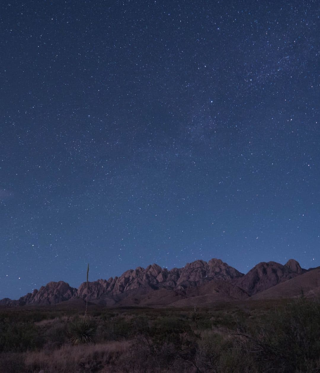 A stary night sky over a mountain range