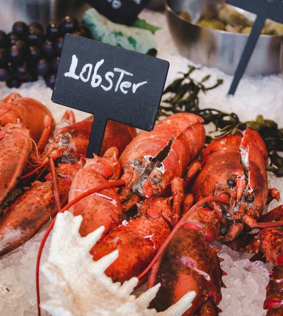 Maine lobsters on sale