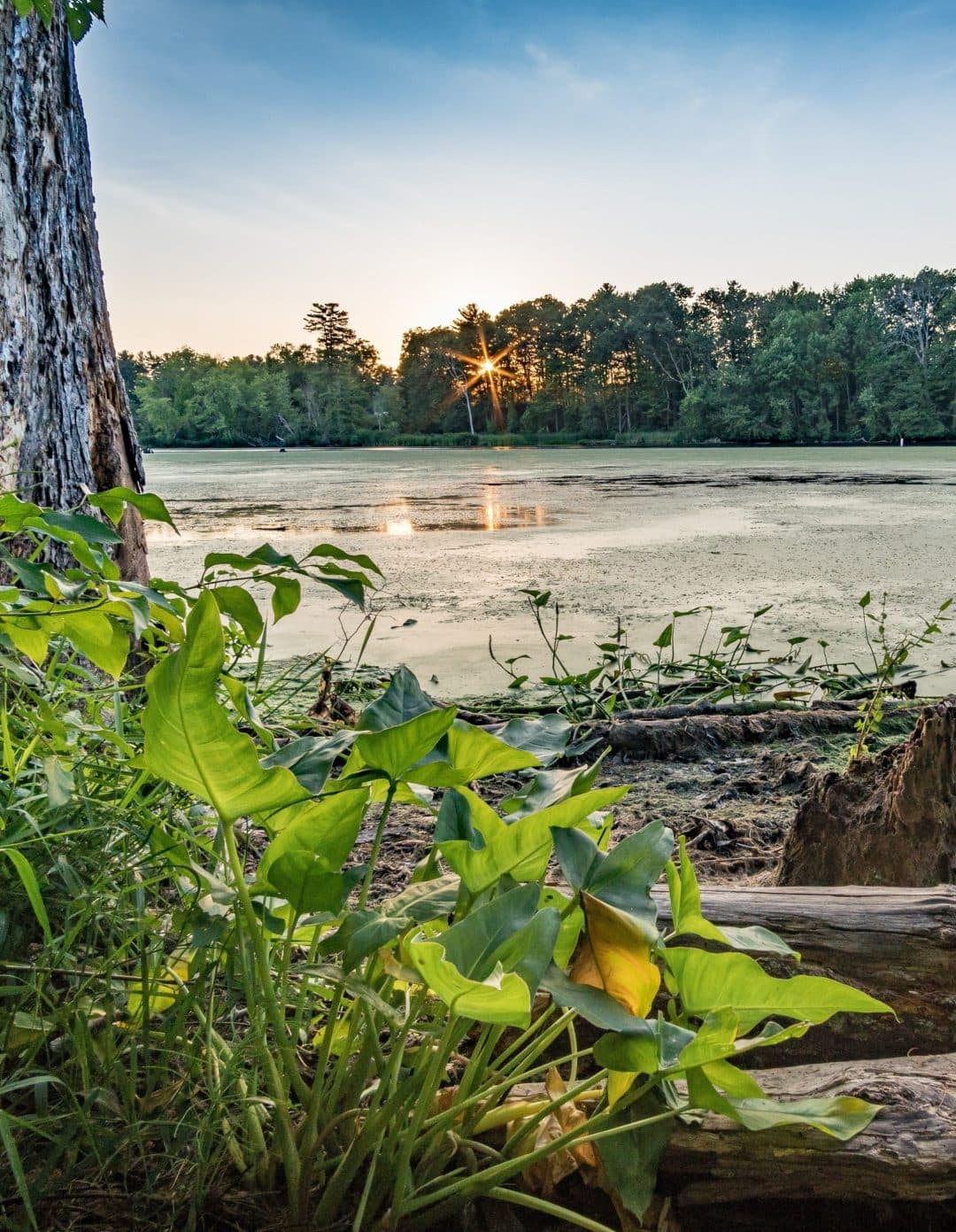 A scenic view of a Nashua lake