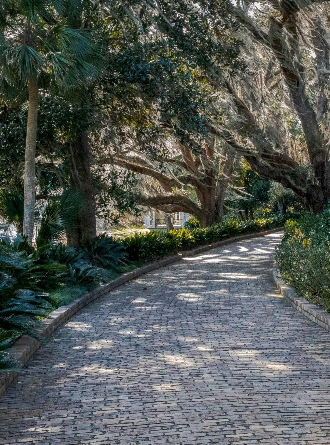 A park walkway in Tallahassee