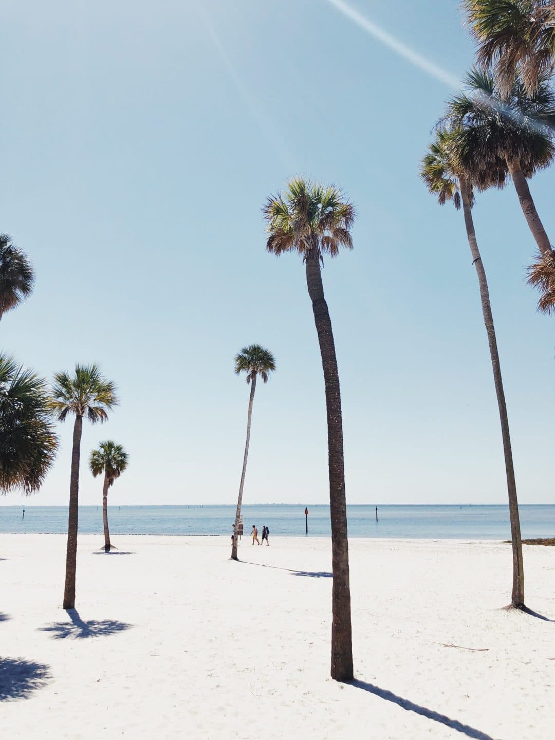 Palmtrees on the beach in Tampa