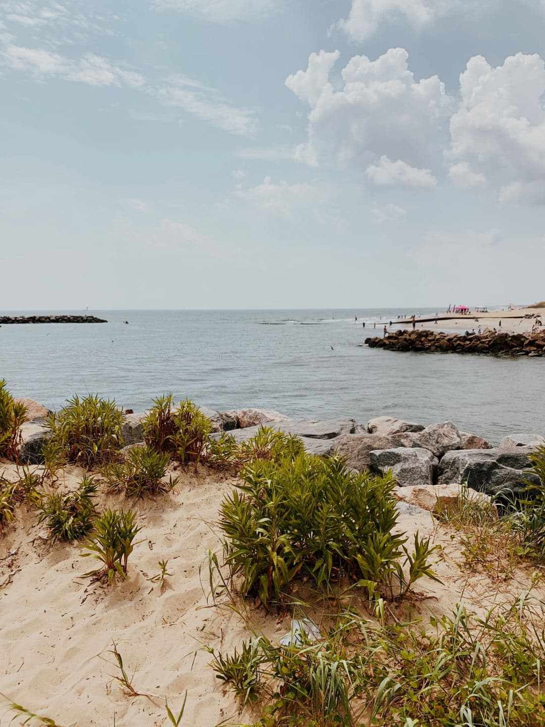 A sand dune in Virginia Beach