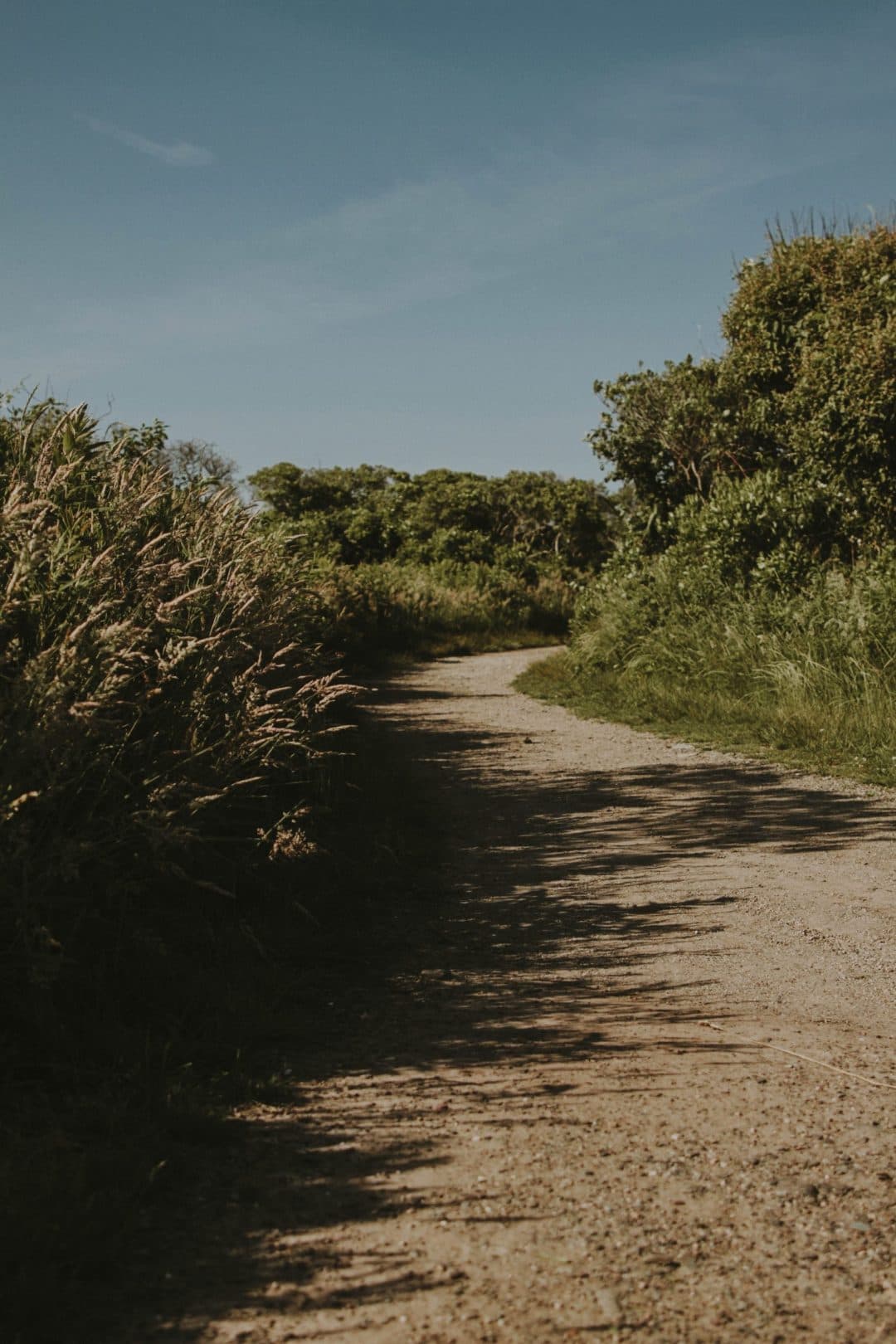 A path on a nature walk in Warwick