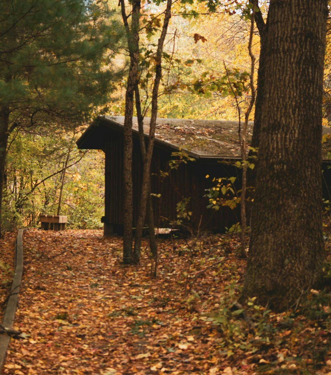 A cabin in the woods of Worcester