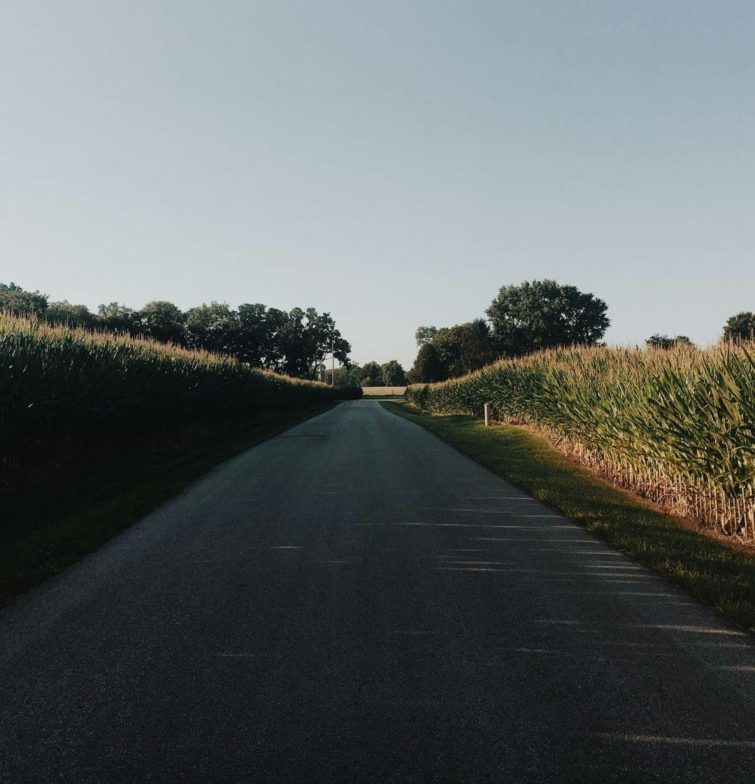 A country road in Louisville