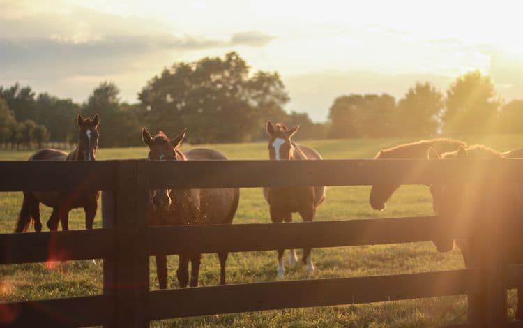 Kentucky Small Business Funding