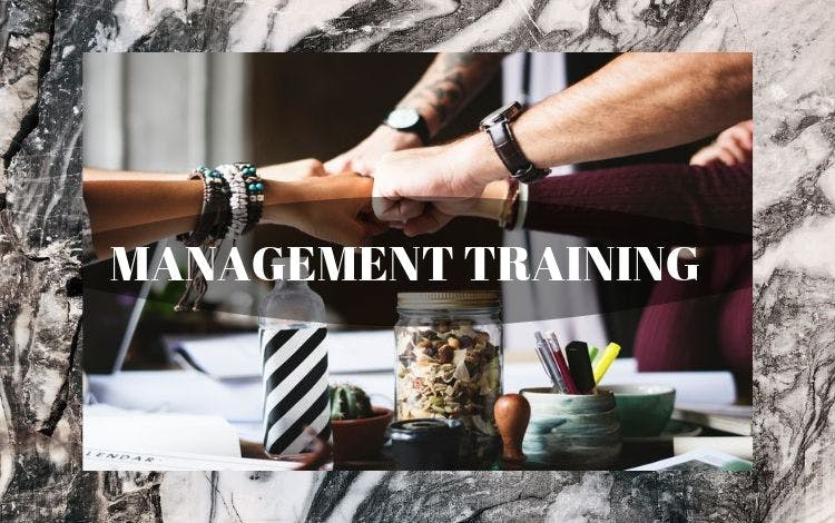 Management Training: Does Your Company Need It?