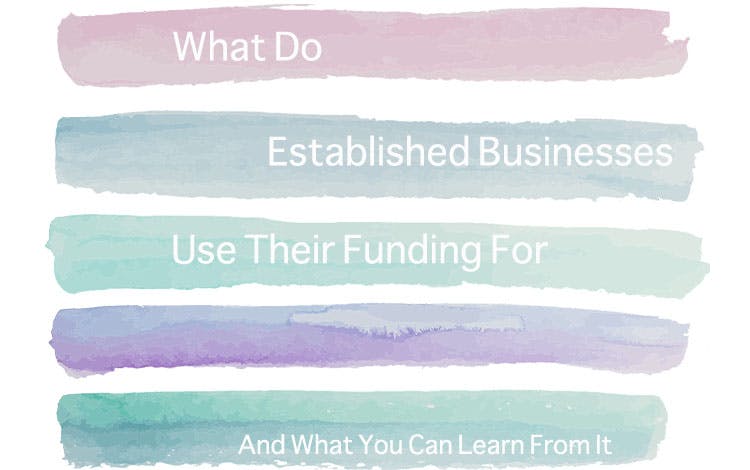 What Do Established Businesses Use Funding For?