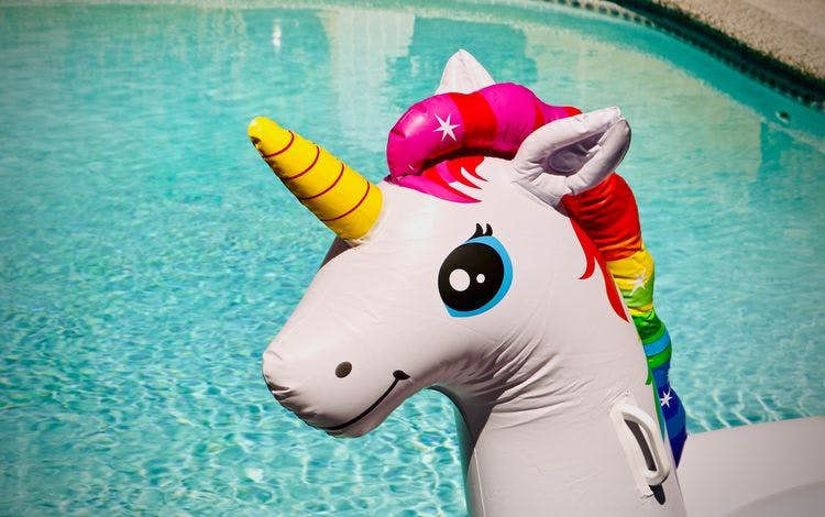 Are There Still Unicorns in the World of Business Startups? 2022