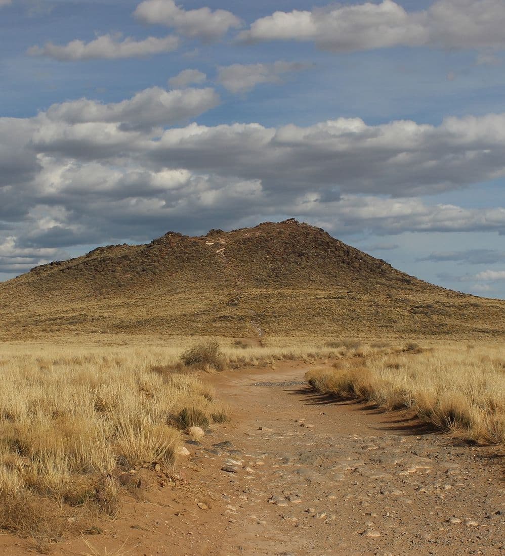 a desert scene